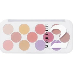 12 Pan Ready for Anything Social Butterfly