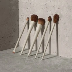 A14 Signature Precision Setting Brush M X ARIEL