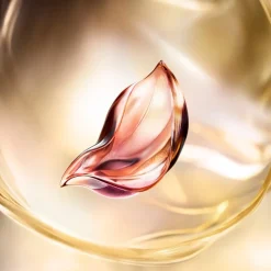 Absolue Longevity The Soft Cream