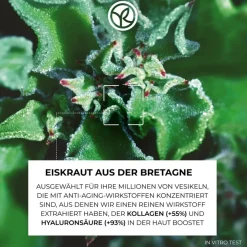 Anti-rimpel Intense Dag- & Nachtverzorging