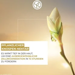 Anti-verouderende, verfraaiende nachtcrème