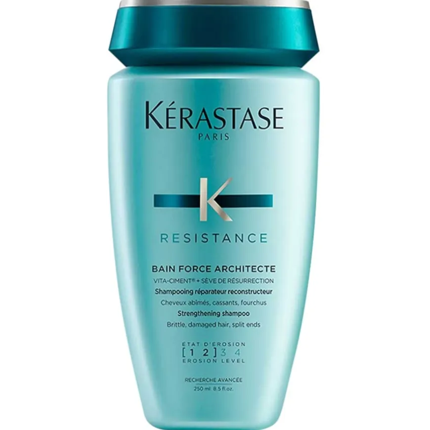 Bain de Force Architecte