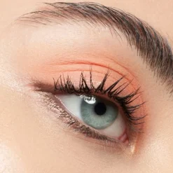 Colour & Fix Brow Gel Mascara