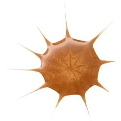 DROP VAN ZONNEN BRONZENDE DROPS