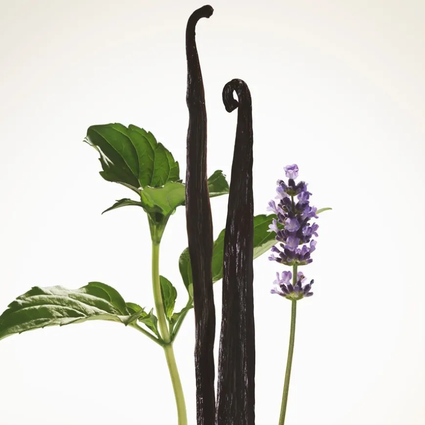 Eau de Parfum Intense Spray