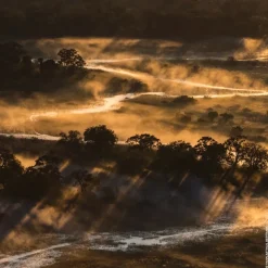 Eau de Parfum Spray, Bosca Vanilla Forte
