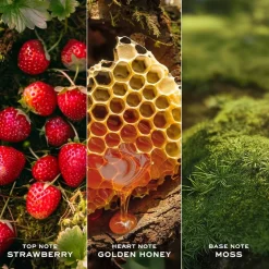 Eau de Parfum Spray, Eau So Intense