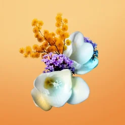 Eau de Parfum Spray, Happy