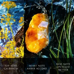 Eau de Parfum Spray Intens, Reborn