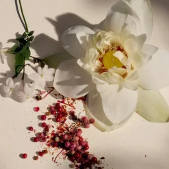 Eau de Parfum Spray, Lumière d'Égypte