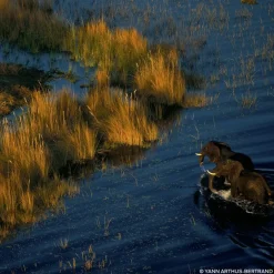 Eau de Parfum Spray, Mandarine Basilic Forte