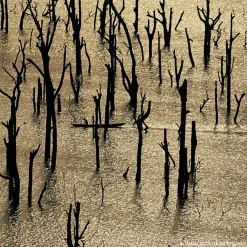 Eau de Parfum Spray, Nerolia Vetiver Forte