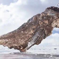 Eau de Parfum Spray, Rain Essence