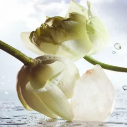 Eau de Parfum Spray, Rain Essence