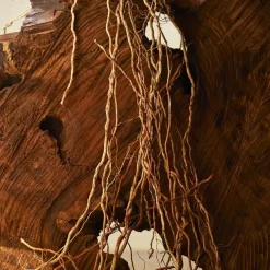 Eau de Parfum Spray, Terrae Essence