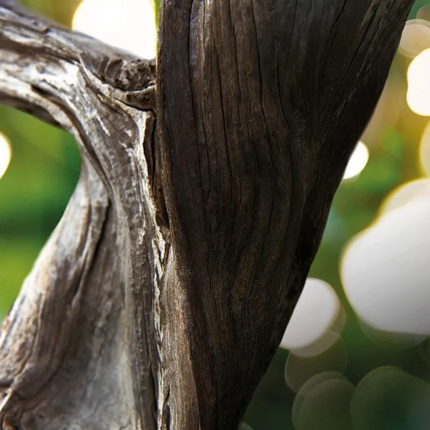 Eau de Parfum Spray, Wood Essence