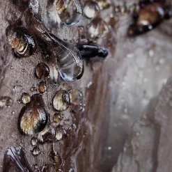 Eau de Parfum Spray, Wood Essence