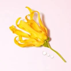Eau de Parfum Spray, Ylang