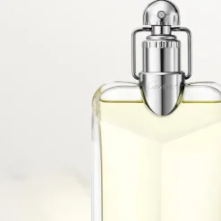 Eau de Toilette Spray