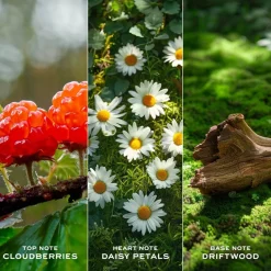 Eau de Toilette Spray