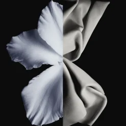 Eau de Toilette Spray