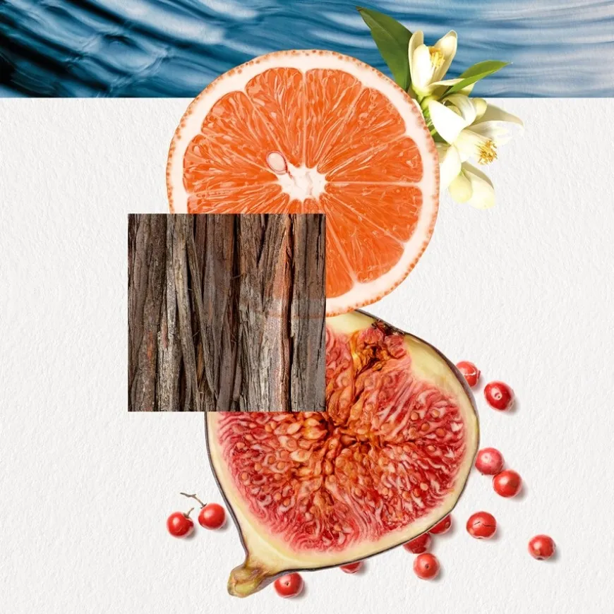 Eau de Toilette Spray