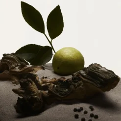 Eau de Toilette Spray