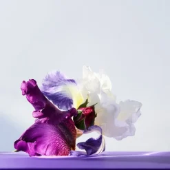 Eau de Toilette Spray, Amethyste