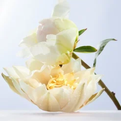 Eau de Toilette Spray, Crystalline