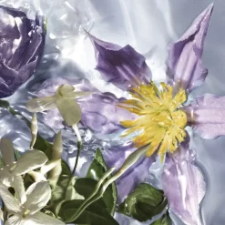 Eau de Toilette Spray, Flora Salvaggia