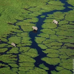 Eau de Toilette Spray, Granada Salvia