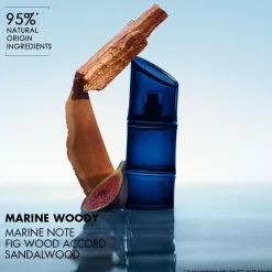 Eau de Toilette Spray Intense