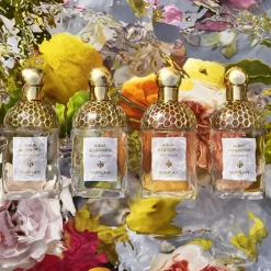 Eau de Toilette Spray, Pamplelune