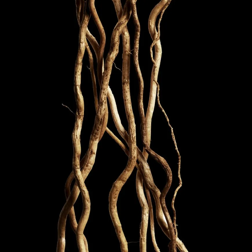 Eau de Toilette Spray, Reborn