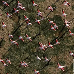 Eau de Toilette Spray, Rosa Rossa