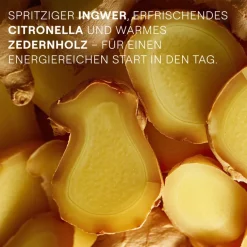 Energie Douchegel Gember, Reinigt de huid op milde wijze en geeft nieuwe energie