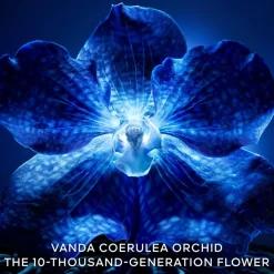 Exceptional Complete Longevity Care Rich Cream