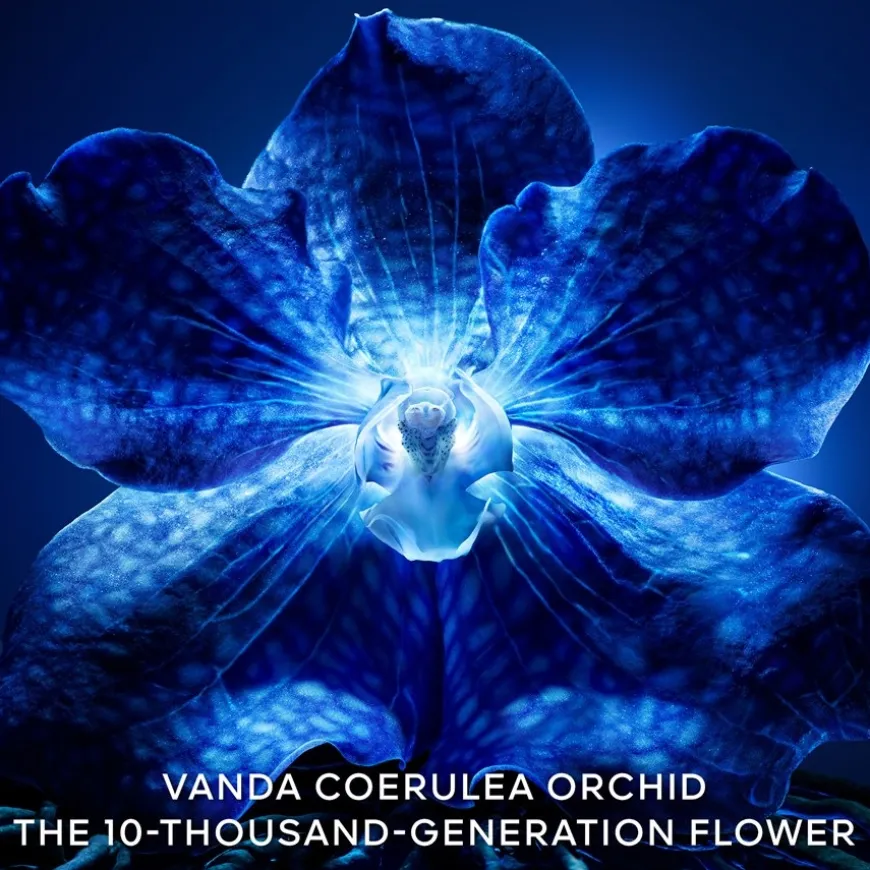 Exceptional Complete Longevity Care Rich Cream