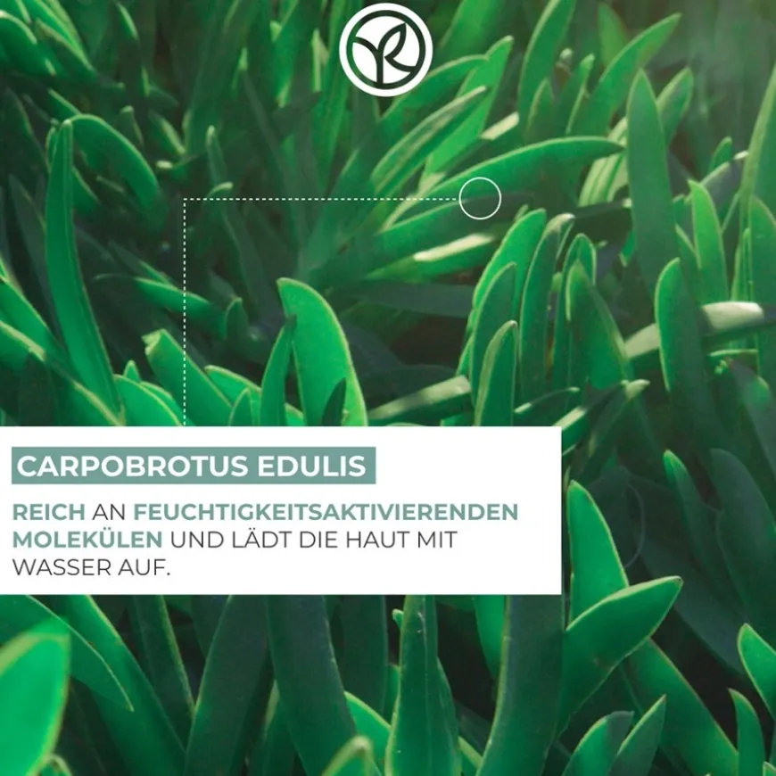 Hydraterend SOS Masker