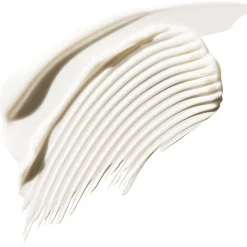 Leave-In Treatment Rich