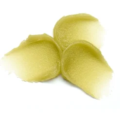 Lip Care SUGAR SCRUB