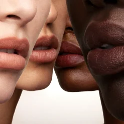 Lip Filter Hydroplump Soft Matte Lipstick