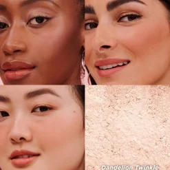 Paardenbloem Twinkle Highlighter