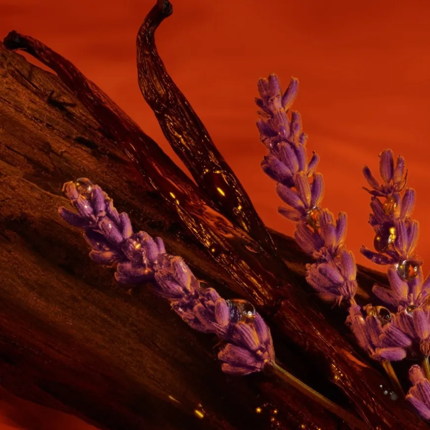 Parfum Spray, Absolutely