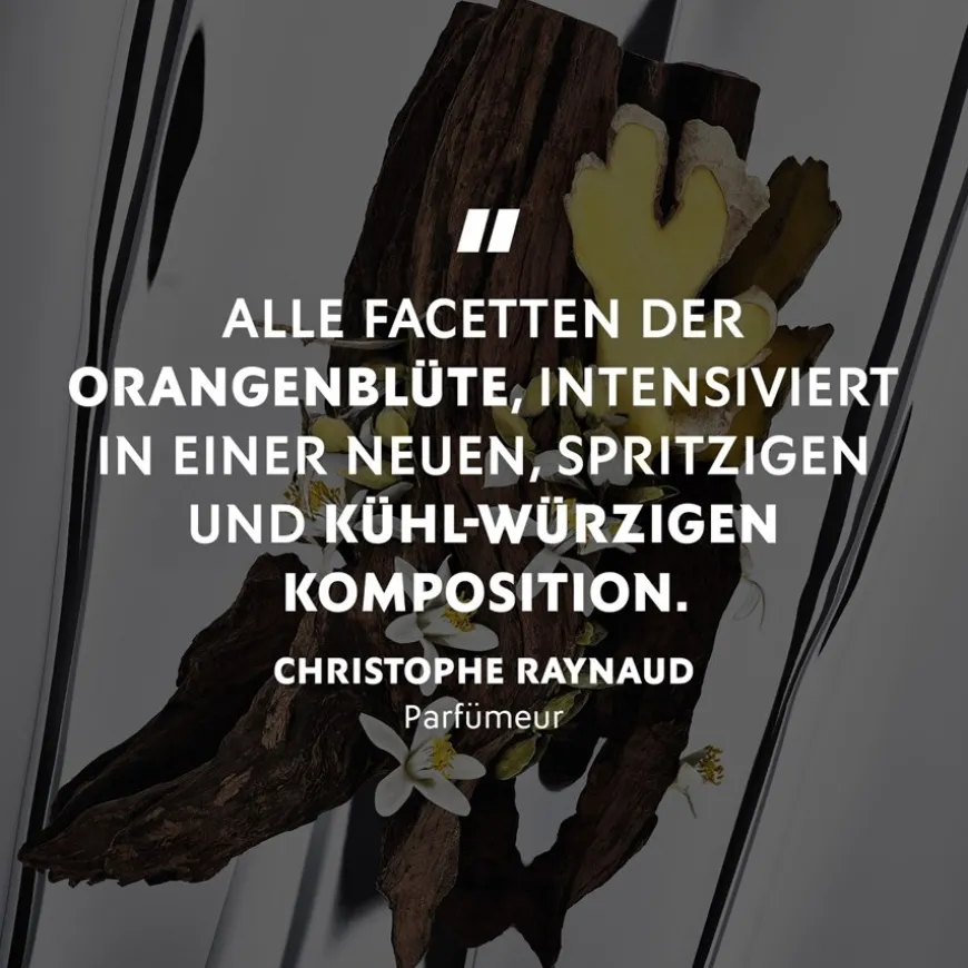 Parfum Spray, L'Absolu