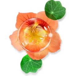 Perfecting Serum Anti-Wrinkle - Firmness