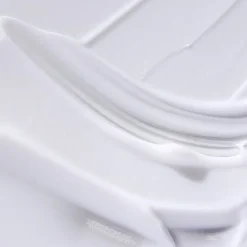 RETINOL ALTERNATIVE Plant-Powered Day Cream