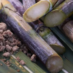 Satocane Pore Purifying Scrub Mask