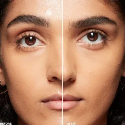 Sheer Finish Pressed Powder