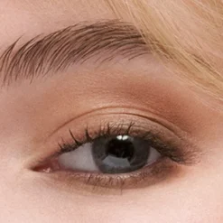 The Essential Eyeshadow Quad